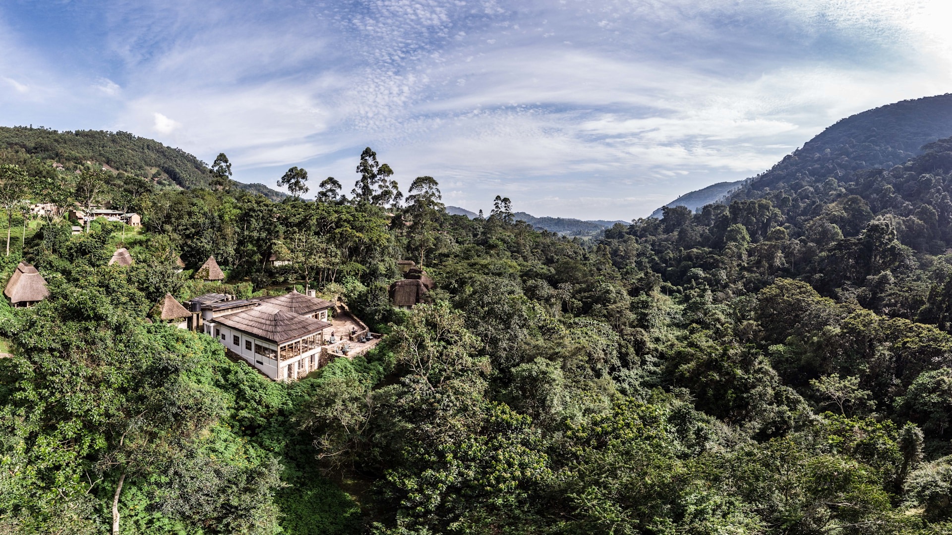 Bwindi Impenetrable Forest