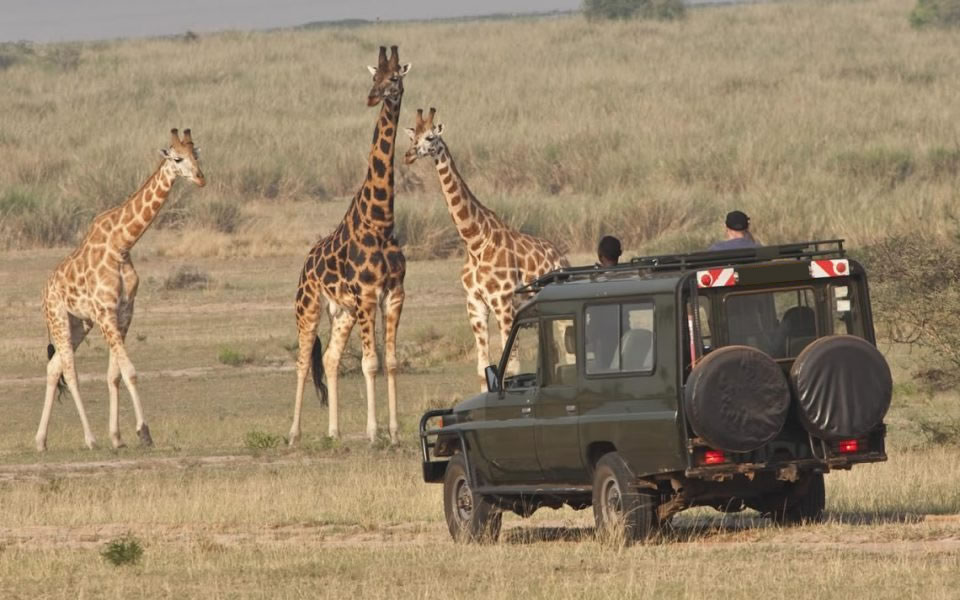 Akagera Safari Tips