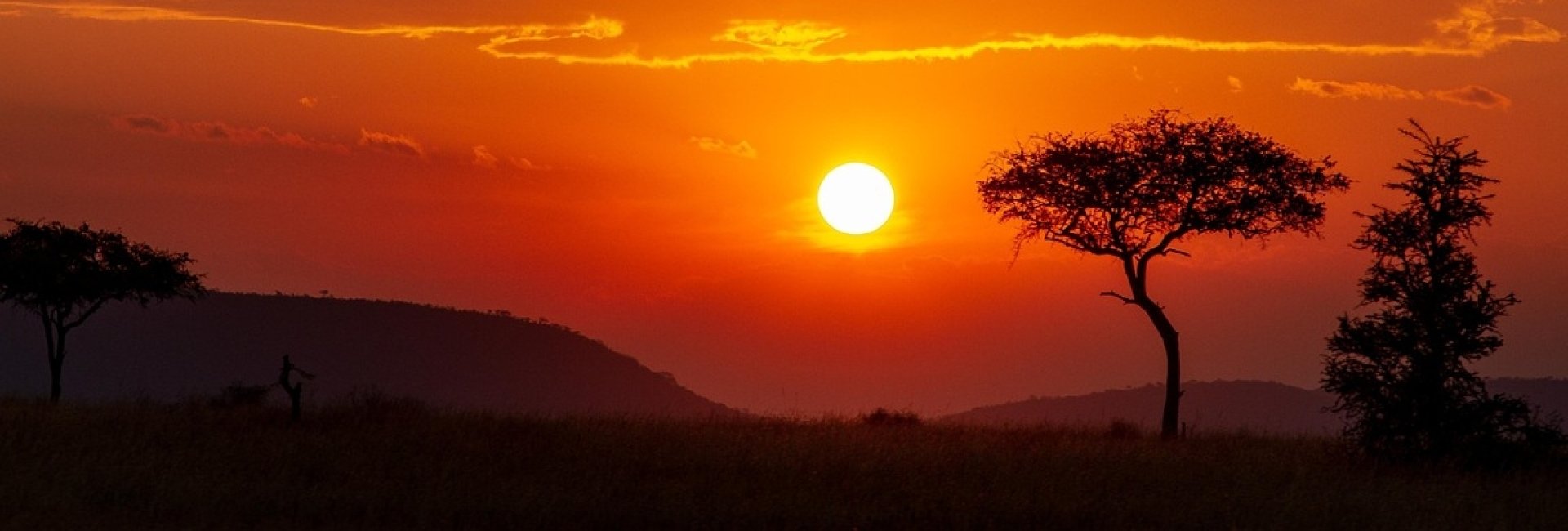 Kenya Migration Safari
