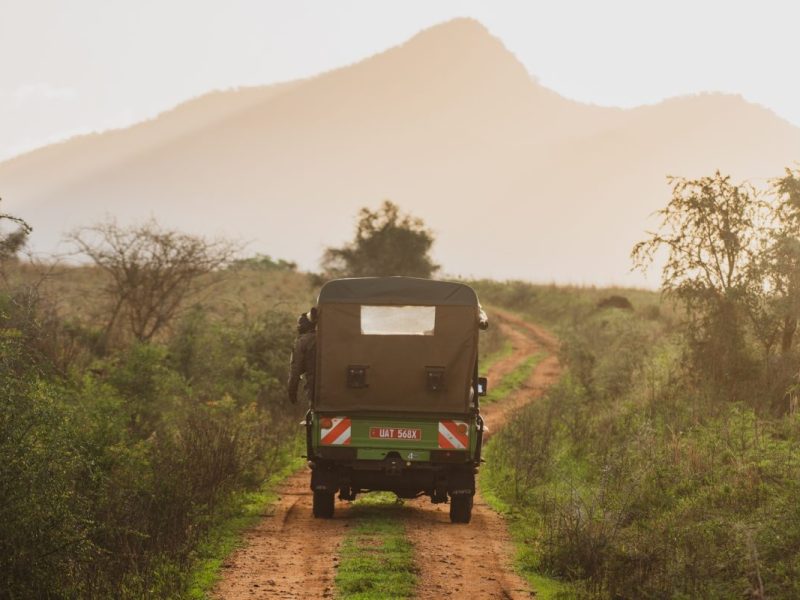 11 Days Rwanda & Uganda Special