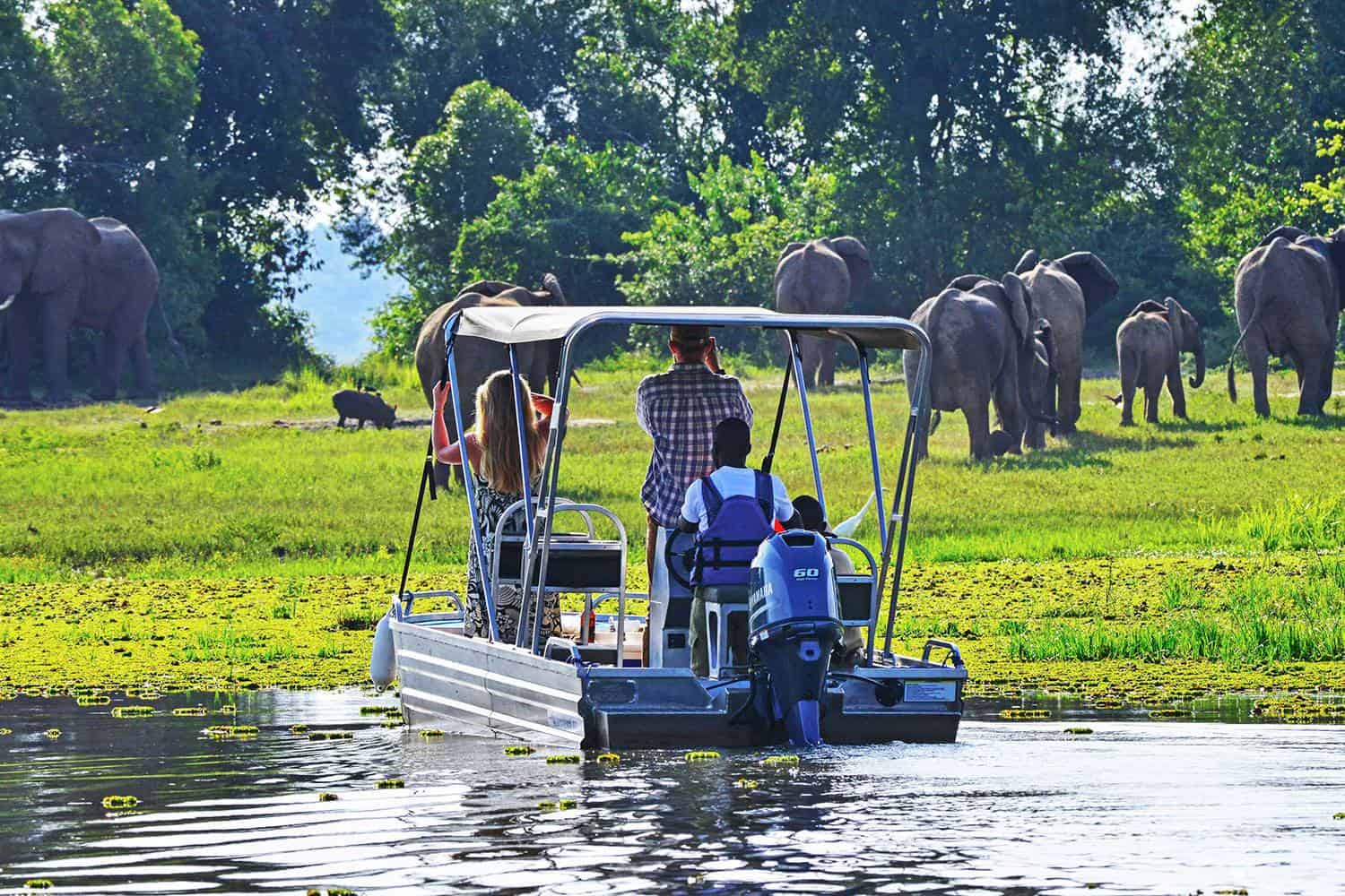 20 Days in Uganda Safari