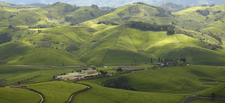 Beautiful landscape of Rwanda